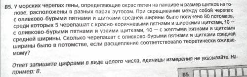 Нужно подробное обьяснение. Заранее