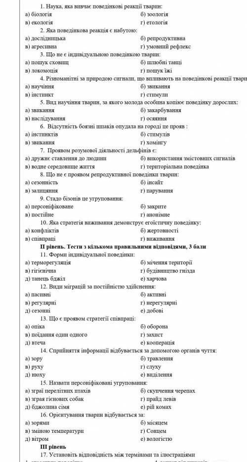 Підсумкова робота по темі «Поведінка тварин»ІІ варіант