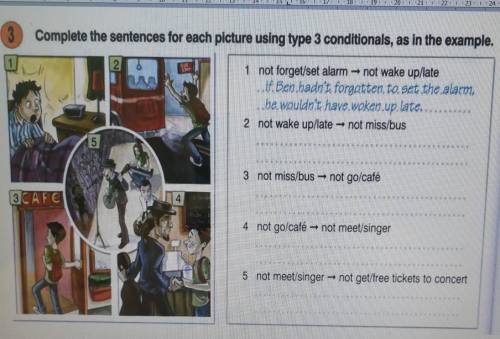 Complete the sentences for each picture using type 3 conditionals, as in the example 