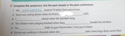 3 Complete the sentences. Use the past simple or the past continuous.