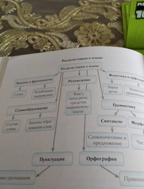 236 по схеме составить текст 