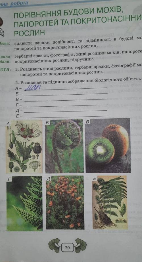 Розпізнай та підпиши зоображення біол об'єкта