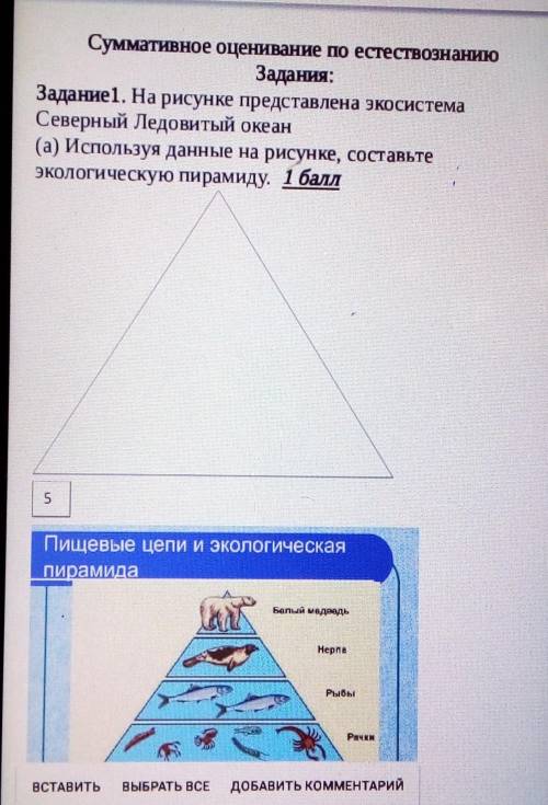 На рисунке представлена экосистема . Северный Ледовитый океан (а) используя данные на рисунке , сост