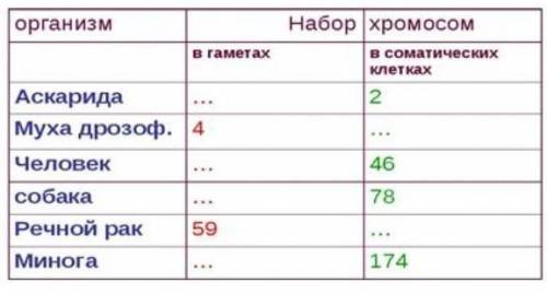 Опредили количество храмосом в саматических и половых клетках 