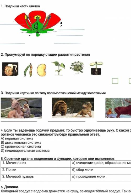 3 страницы ща ищо отправлю тест по есте