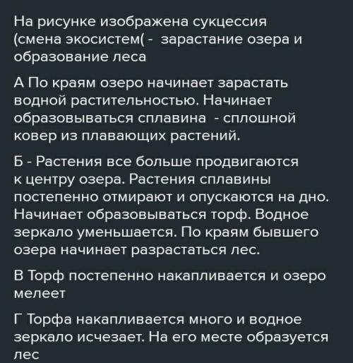2. Обьясните причины смены экосистем, изображенных на рисунке от А-Б-В-Г. Подпишусь и лайкну все отв