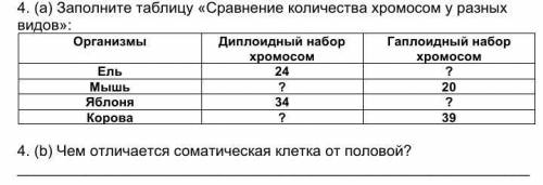 , Сделайте до завтрашнего дня