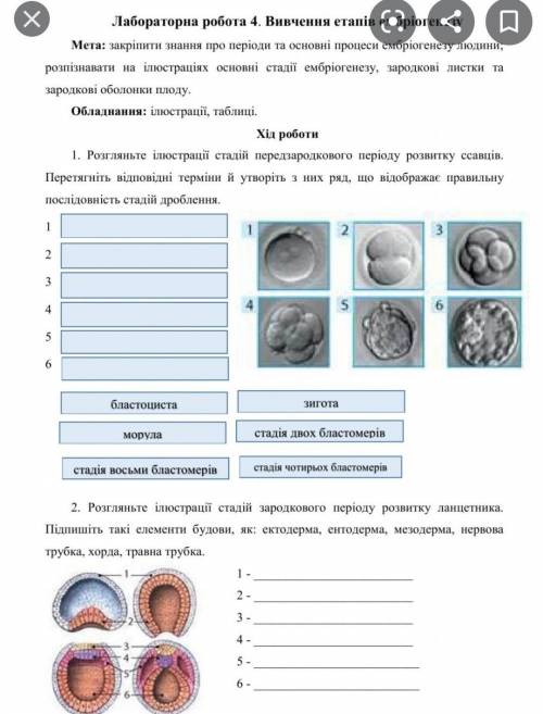 Биология 10 класслабораторна работа 
