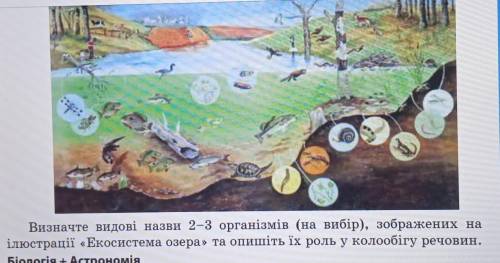 До іть будь ласка з цим завданням