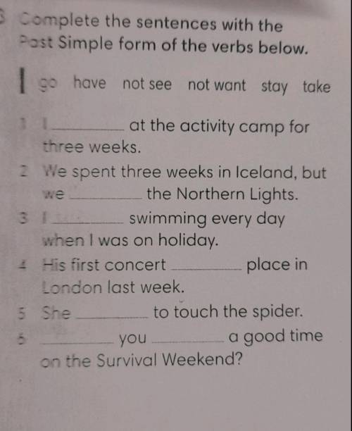 Complete the sentences with the past simple form of the verbs below