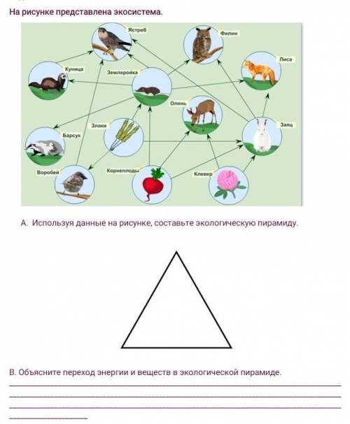 на рисунке представлена экосистема 