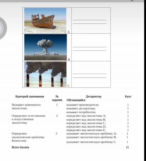 разобраться в данной ситуации