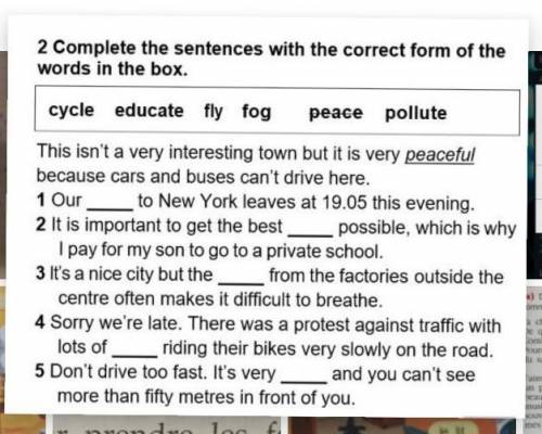 Complete the sentences with the correct form of the word in the box. 