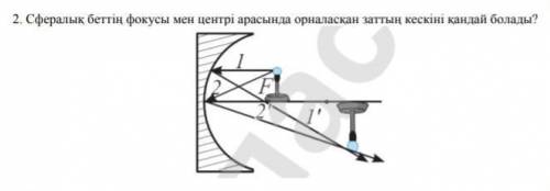 Каким будет изображение объекта, находящегося между фокусом и центром сферической поверхности? ​