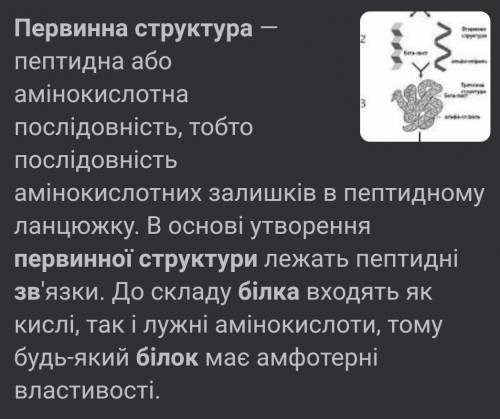 Первинна структура білка визначається зв'язком​