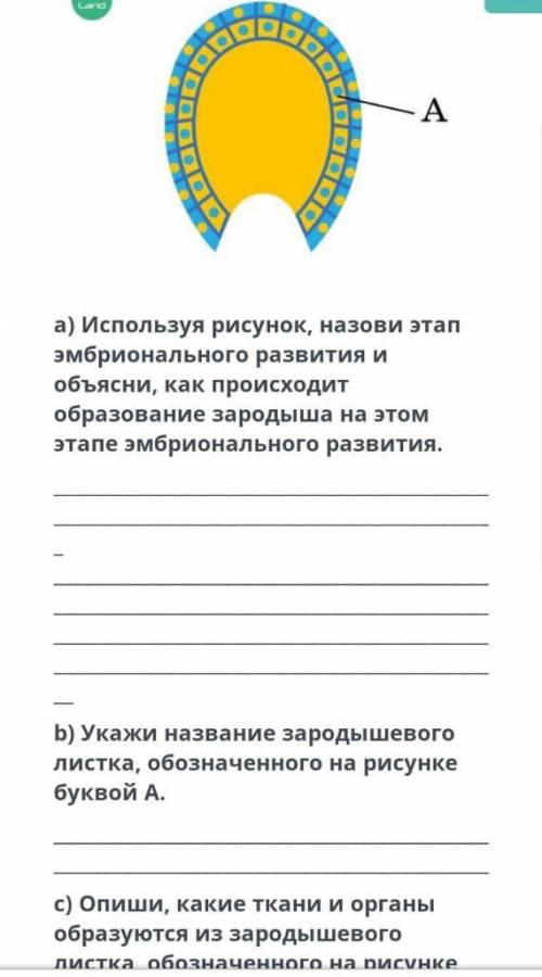 с этим заданием очень нужно ​