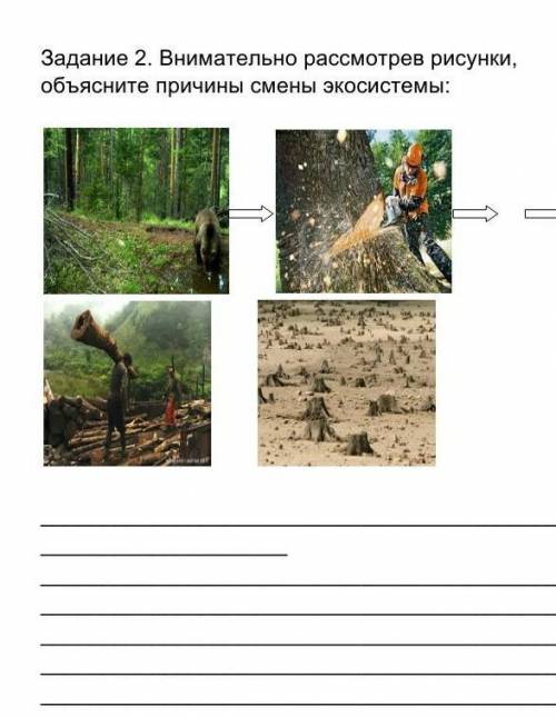Задание 2. Внимательно рассмотрев рисунки, объясните причины смены экосистемы 
