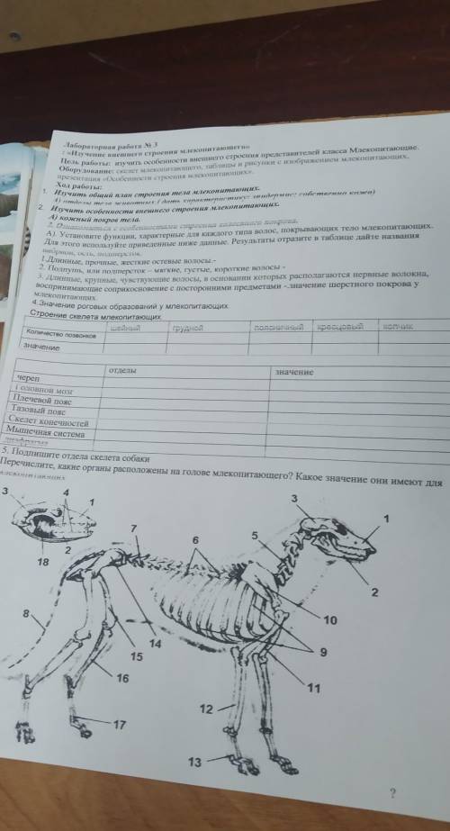 Лаьороторная работа 7 класс​