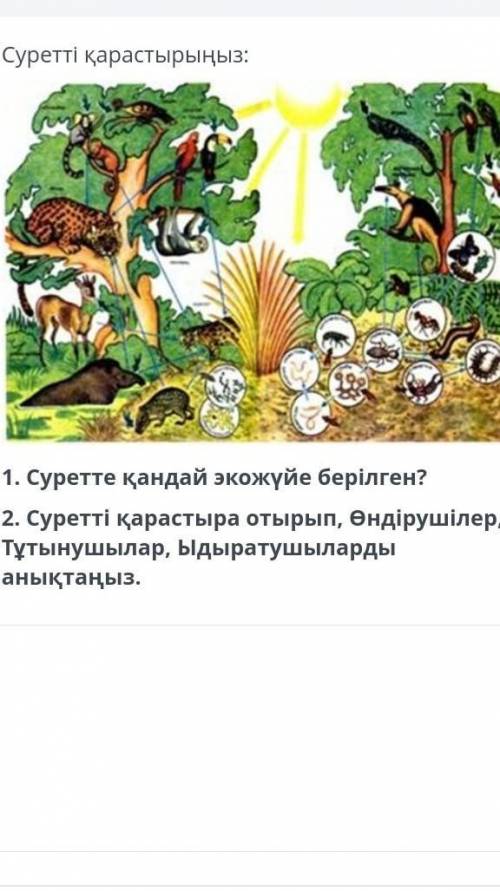 Суретте кандай экожуйе берылген. комек