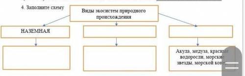 Соч по естество знанию 6 класс