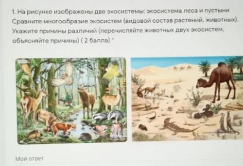 Кто знает естествознание 