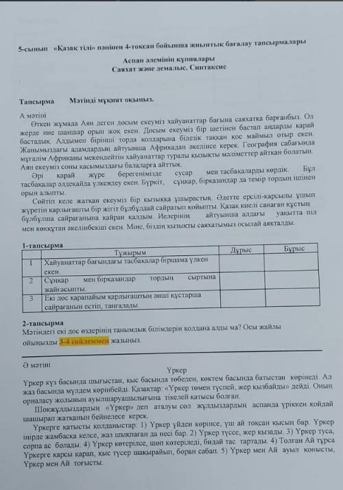 Тжб соч балы я на дыбал сори 