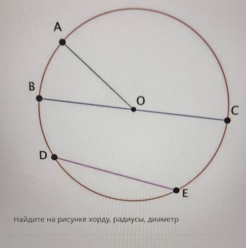 Найдите на рисунке хорду,радиусы,диаметр