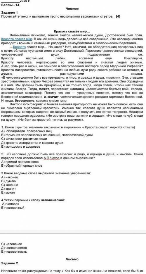 кто сделал соч по русскому языку 