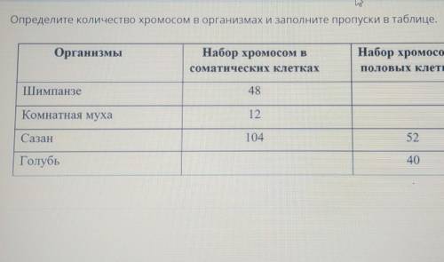 Дайте определите количество хромосом в организмах и заполните пропуски в таблице . Организмы : шимпа