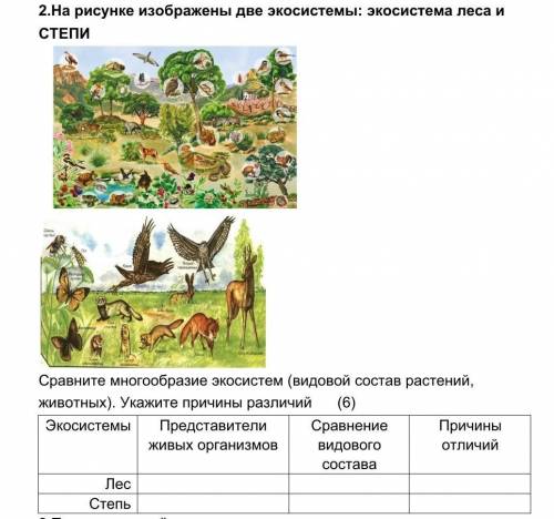 На рисунке изображены две экосистемы: экосистема леса и СТЕПИ ​