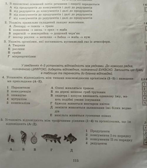 САМОСТІЙНА РОБОТА 23ланцюги живлення і потік ЕНЕРГІЇ. взаємозв'язок компонентів Екосистеми.