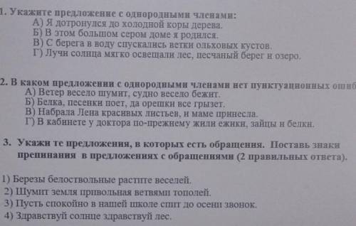 Выбери правильные ответы у меня соч