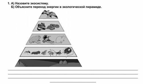 1. А) Назовите экосистему.