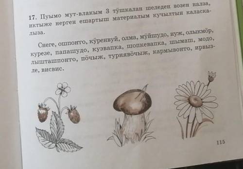 Распределить слова в 3 группы, перевести слова