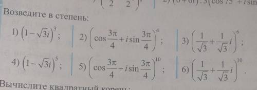 с этим номером, очень буду благодарна, если не проигнорите.)