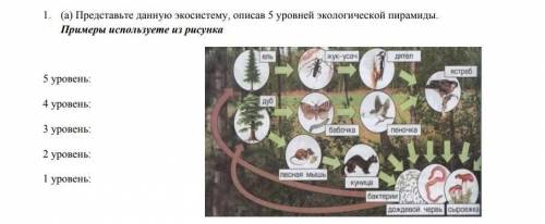 НУЖНО СДАТЬ В ТЕЧЕНИИ 40 МИНУТ