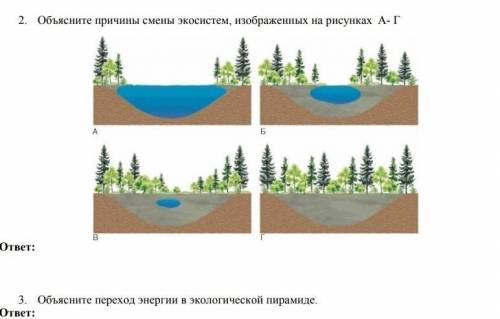 ПЛМРГИТЕ СО 2 И 3 ЗАДАНИЕМ ОТКРОЙТЕ ФОТО ПОЛНОСТЬЮ 