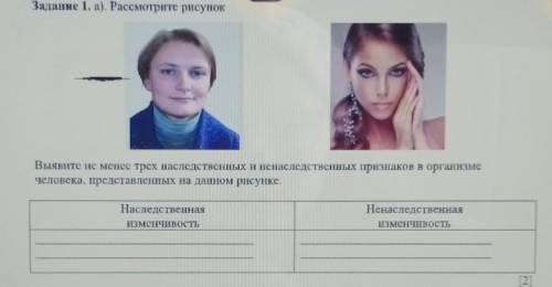 Наследственная изменчивость:Ненаследственная изменчивость: