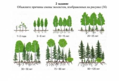Обьесните причины смены экосистем , изображённых на рисунке (36)
