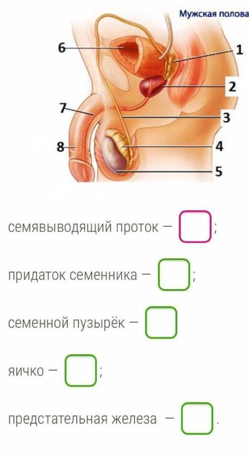 Помгмте если будет не правильно бан​