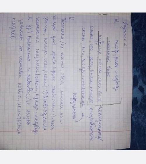 Просто перепечатайте,без изменений.Таблицу обязательно как на фото(первое задание)