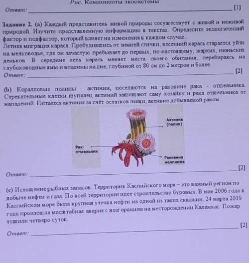 Вот соч если можно со всем сочем 
