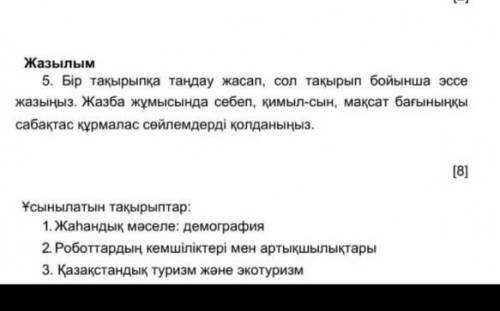 Напишите эссе на казахском 