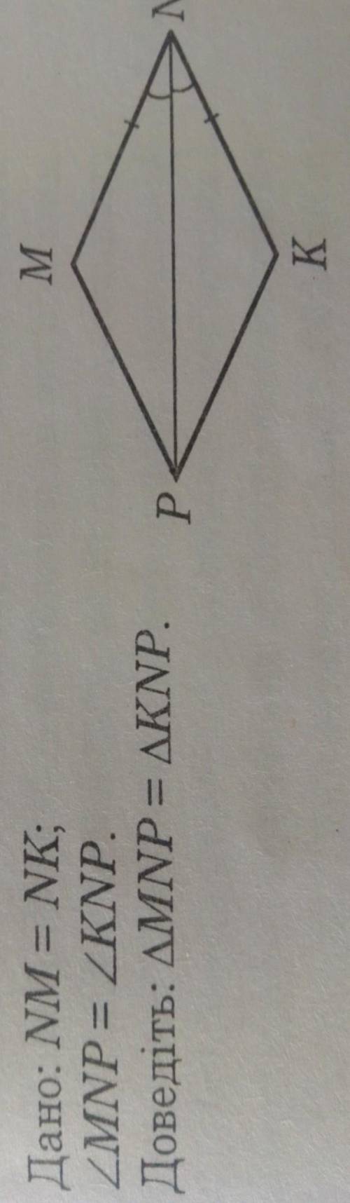 Дано: NM = NK;MNP= KNP.Доведіть: MNP = KNP. 
