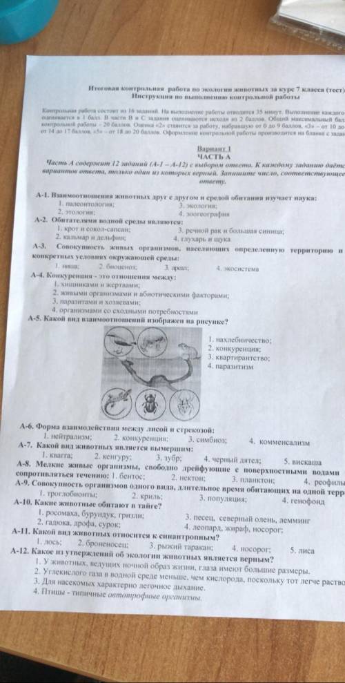 Решите вопрос жизни и смерти