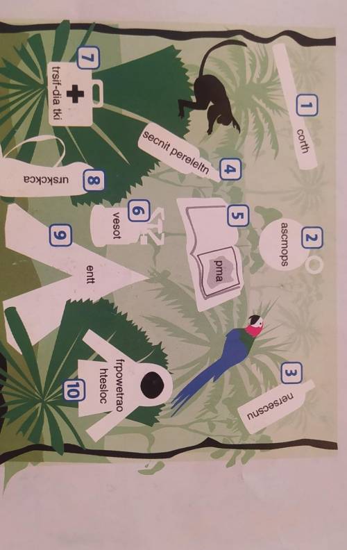 3 Which pieces of expedition equipment can you find in the1 torch 