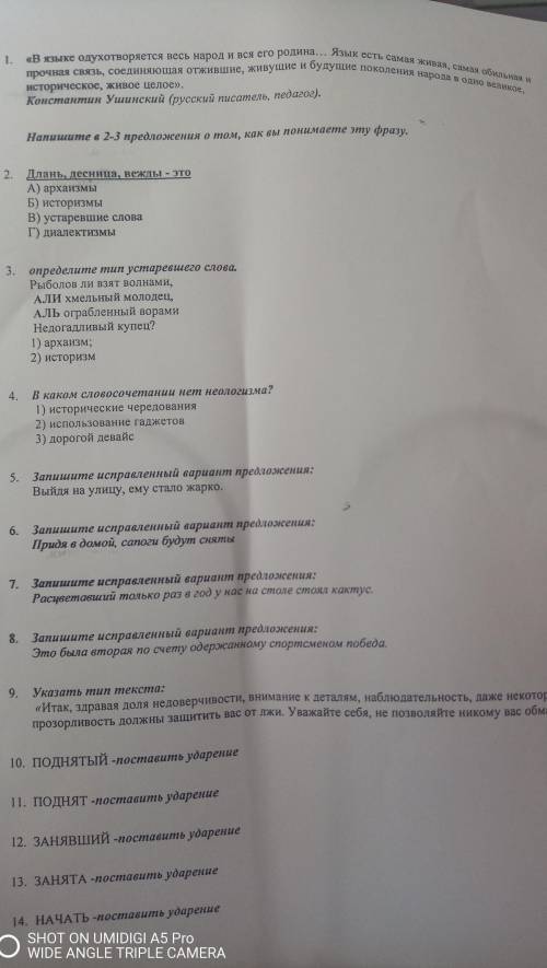Родной язык итоговая контрольная