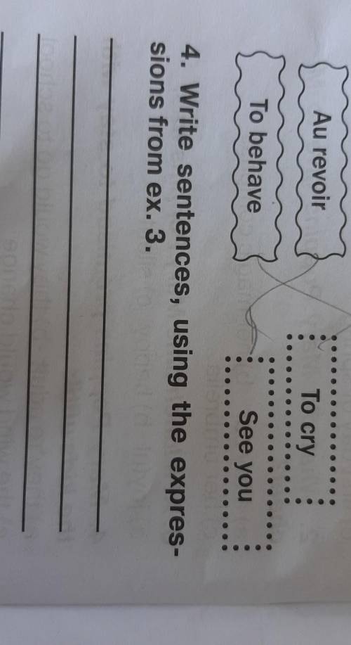 4. Write sentences, using the expres-sions from ex. 3.