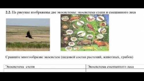 2.2. Па рисунке изображены две экосистемы: экосистема степи и смешанного леса Сравните многообразие