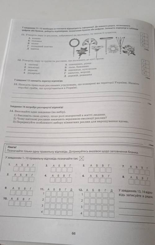 Узагальненнята систематизація знань (2 семестр) 6 клас